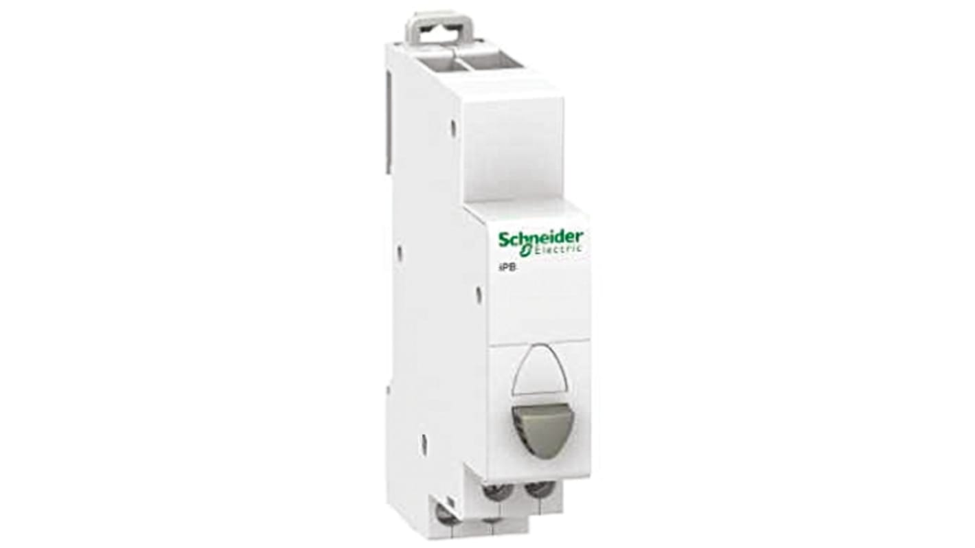 Schneider Electric 脱扣器按钮, 250V 交流, 20A, iPB系列