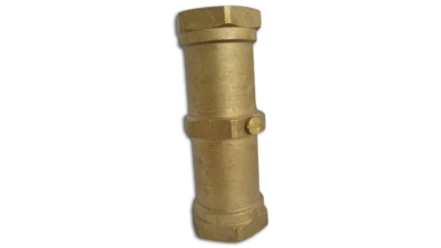 Reliance Brass Double Non Return Valve, BSP 2in, 10 bar