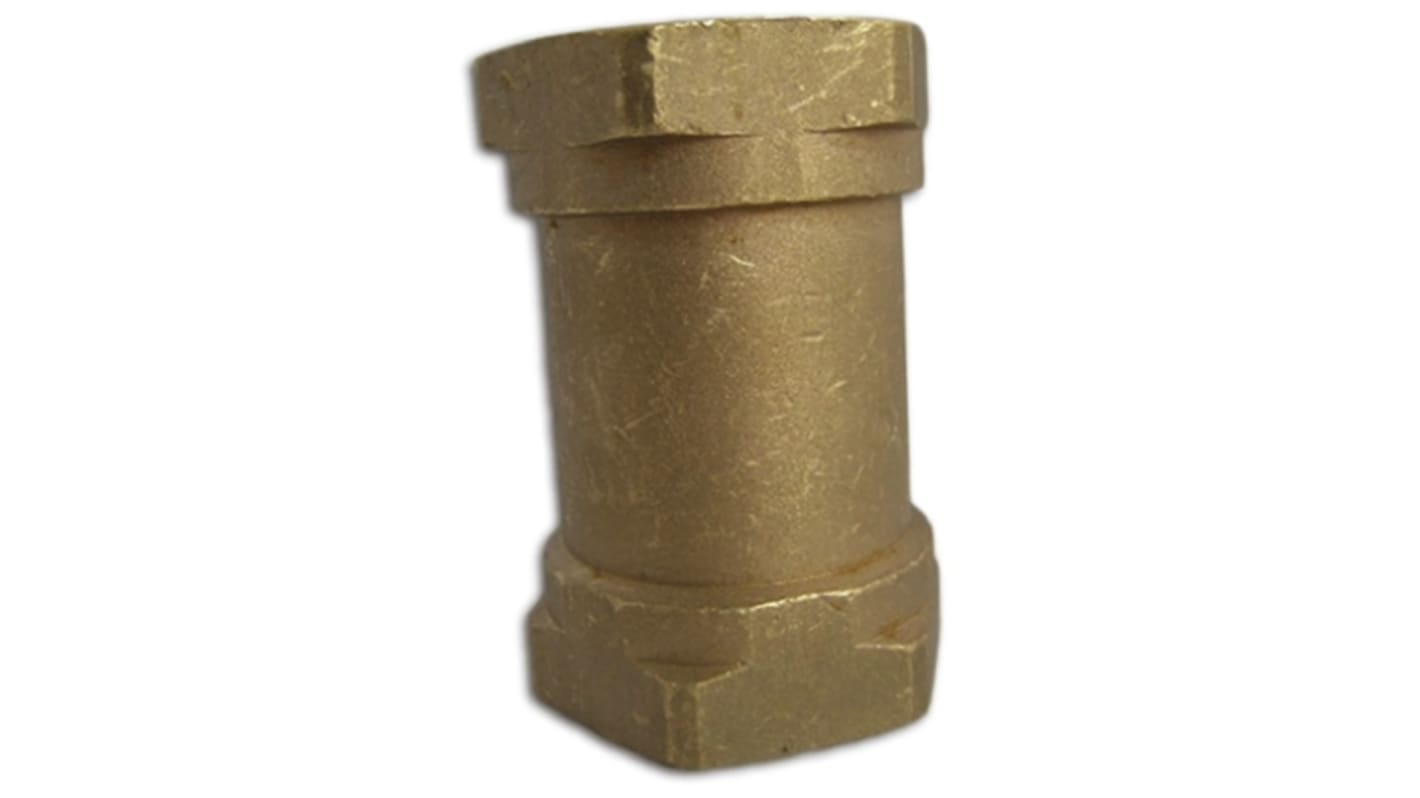 Reliance Brass Single Non Return Valve, BSP 2in, 10 bar