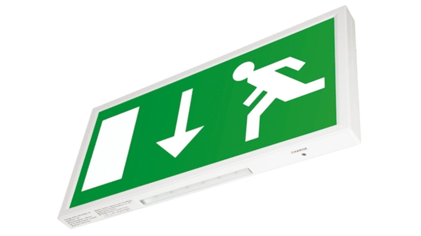 RS PRO LED Emergency Lighting, 3 W, Maintained