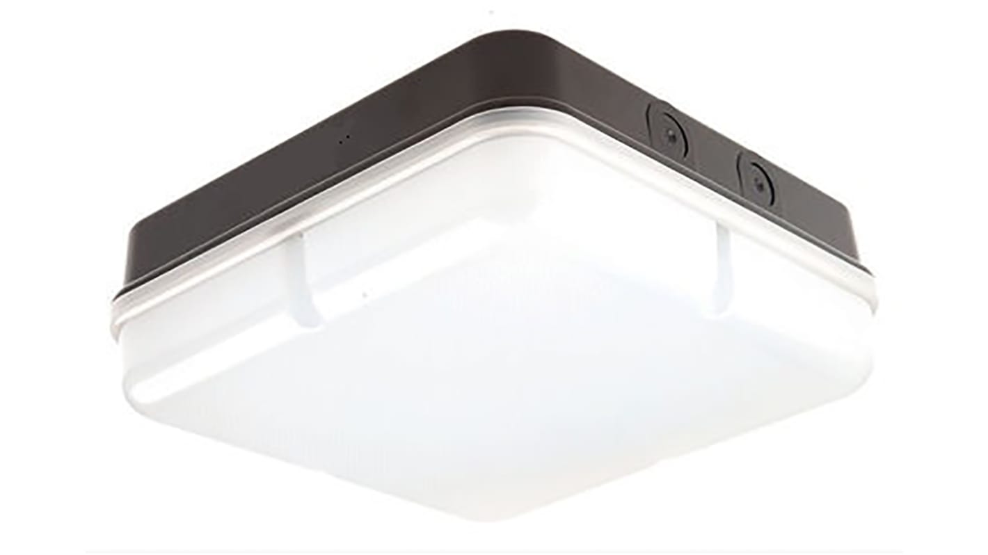 RS PRO Square LED Bulkhead Light, 15.5 W, Lamp Supplied, IP65