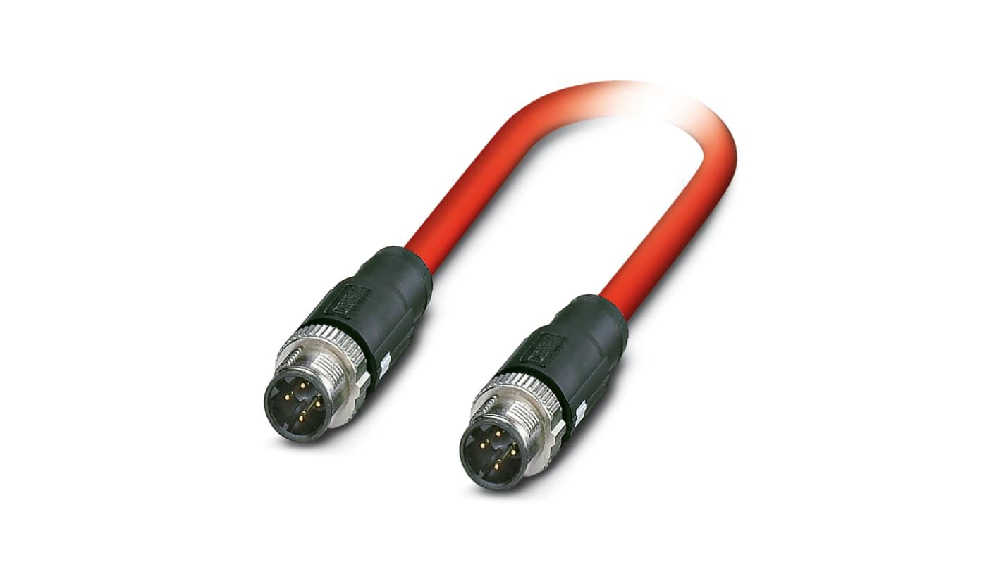 Kabel magistrali ze złączem Złącze M12 liczba rdzeni 4 długość 2m Rodzaj A Męskie Złącze B Złącze M12