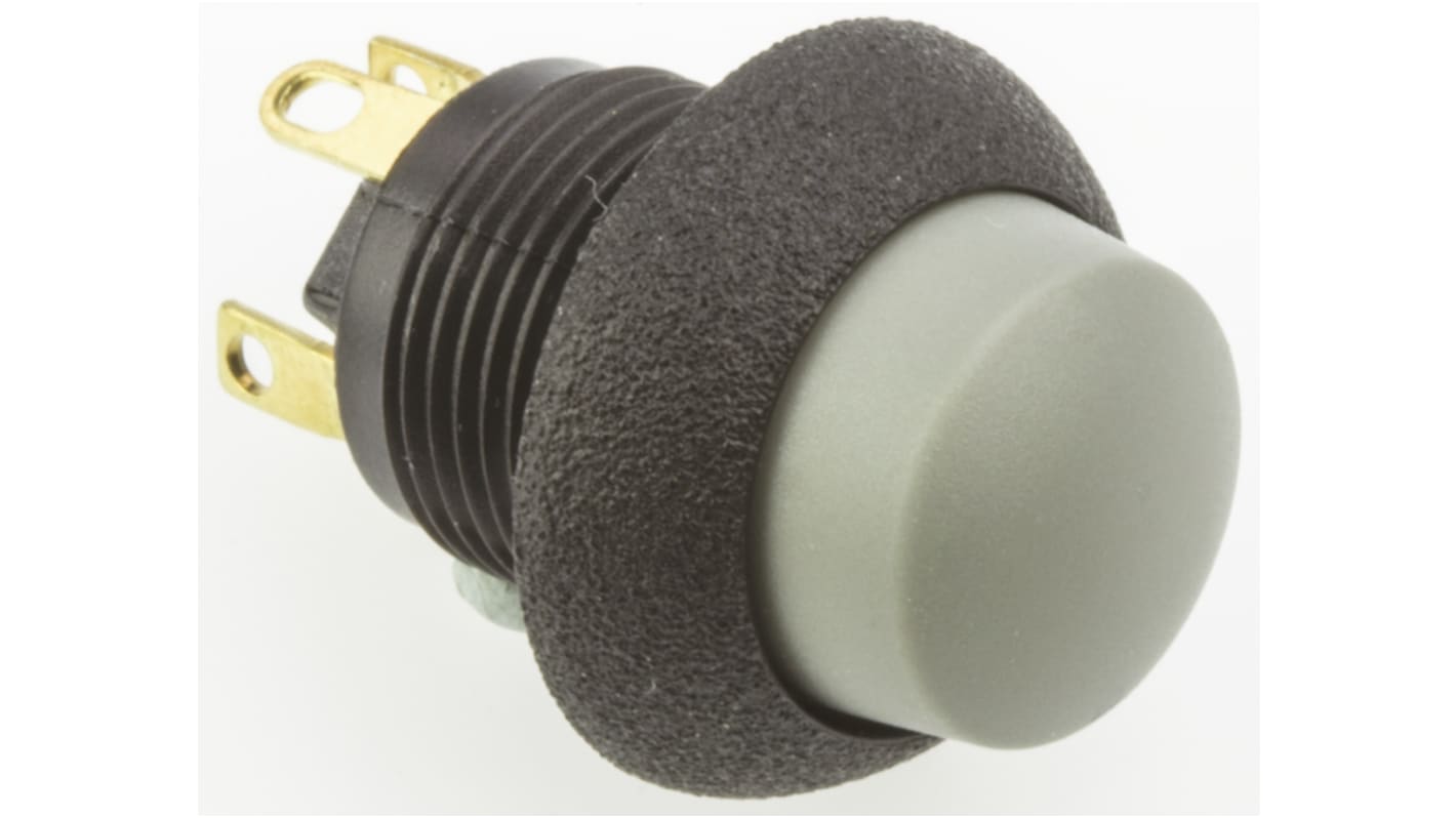 Otto Push Button Switch, Momentary, Panel Mount, SPDT, 28V dc, IP64