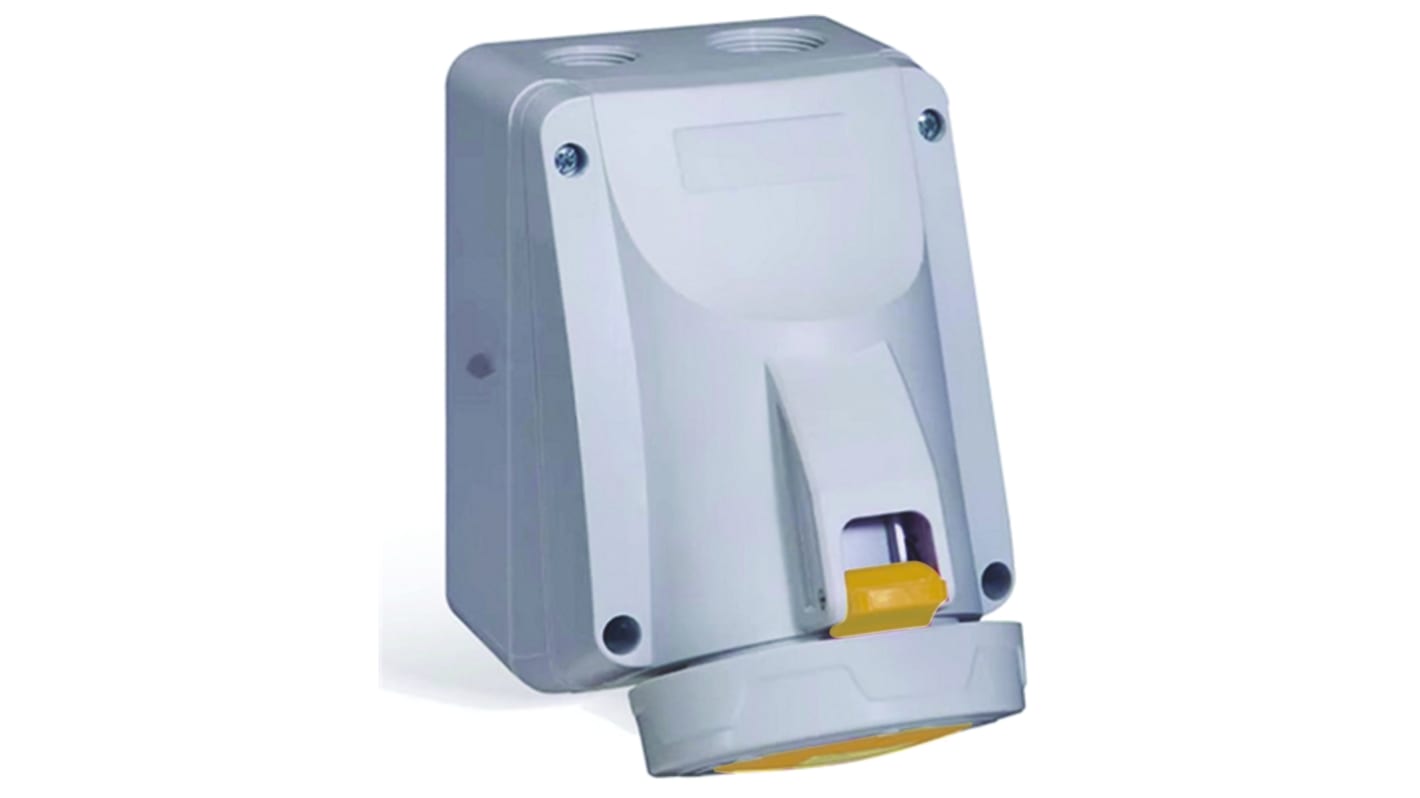 Connettore di alimentazione industriale Legrand P17 Tempra Pro Femmina, 2P + E, 32A, Montaggio a muro