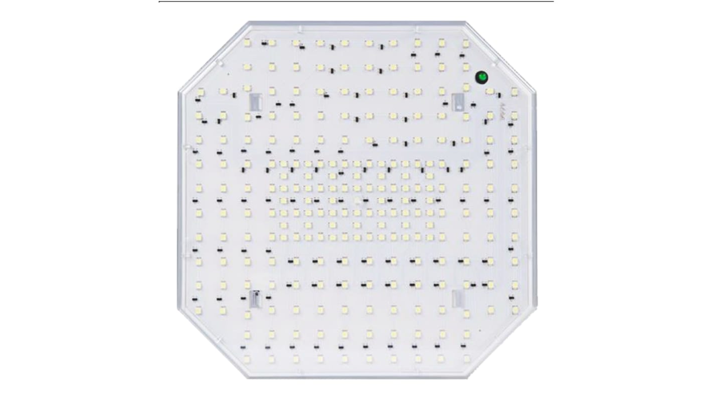 LED Leuchte Warmweiß 13 W, 230 V ac, 4-polig-Sockel