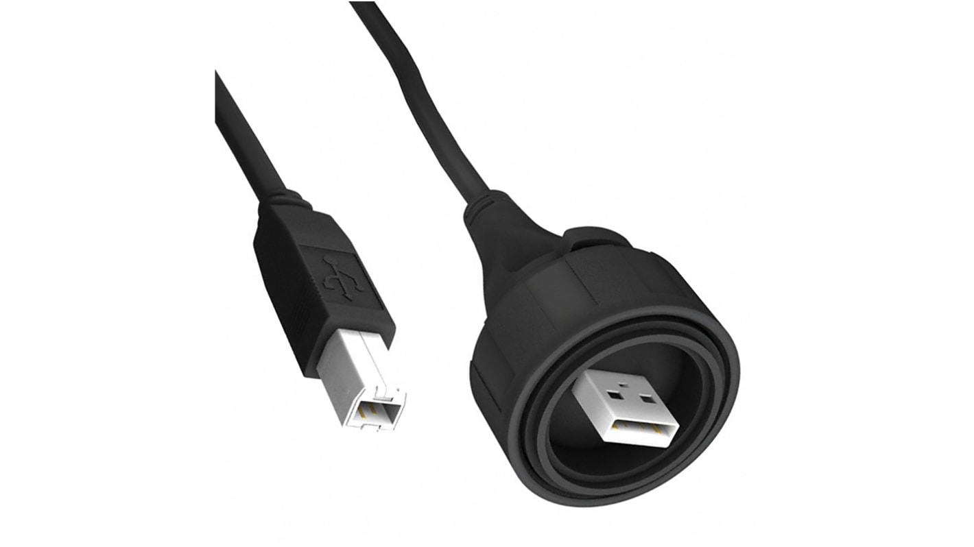 Bulgin USB 2.0, Male USB A to Male USB B, 3m