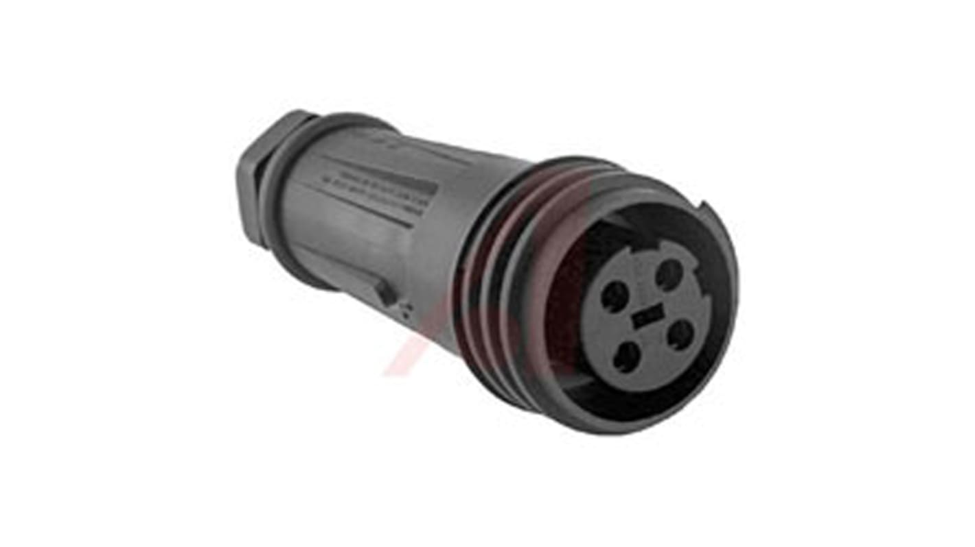 Bulgin Circular Connector, 4 Contacts, Cable Mount, Socket, Female, IP68, Buccaneer 900 Series