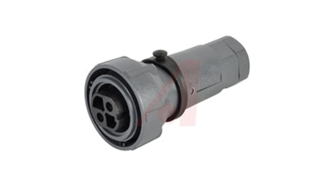 Bulgin Connector, 2 Contacts, Cable Mount, Socket, Female, IP66, IP68, IP69K, Buccaneer 7000 Series