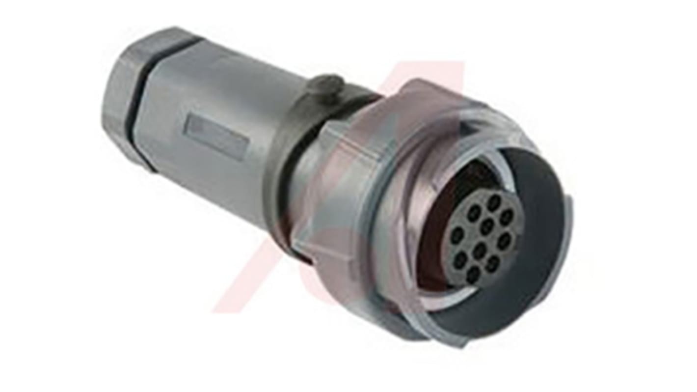 Bulgin Connector, 6 Contacts, Cable Mount, Plug, Male, IP66, IP68, IP69K, Buccaneer 7000 Series