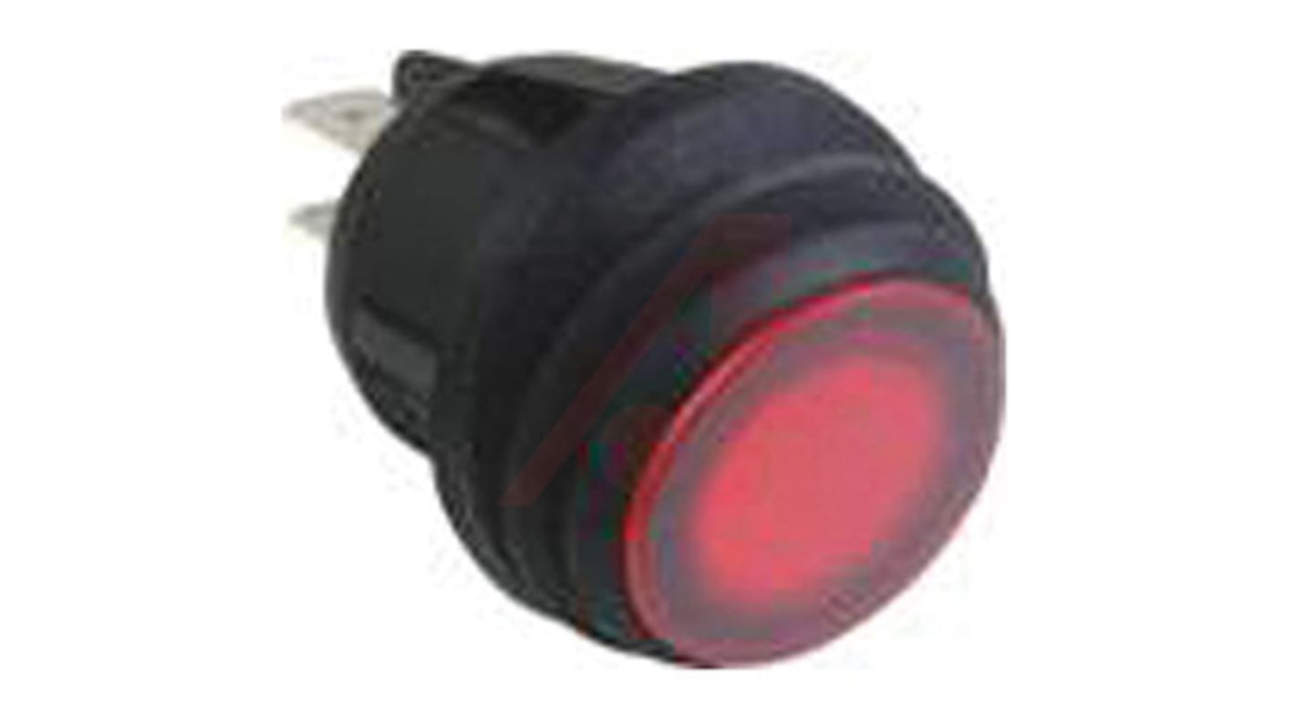 Interruttore a bilanciere ZF, DPST, On-nullo-Off Illuminato, Rosso