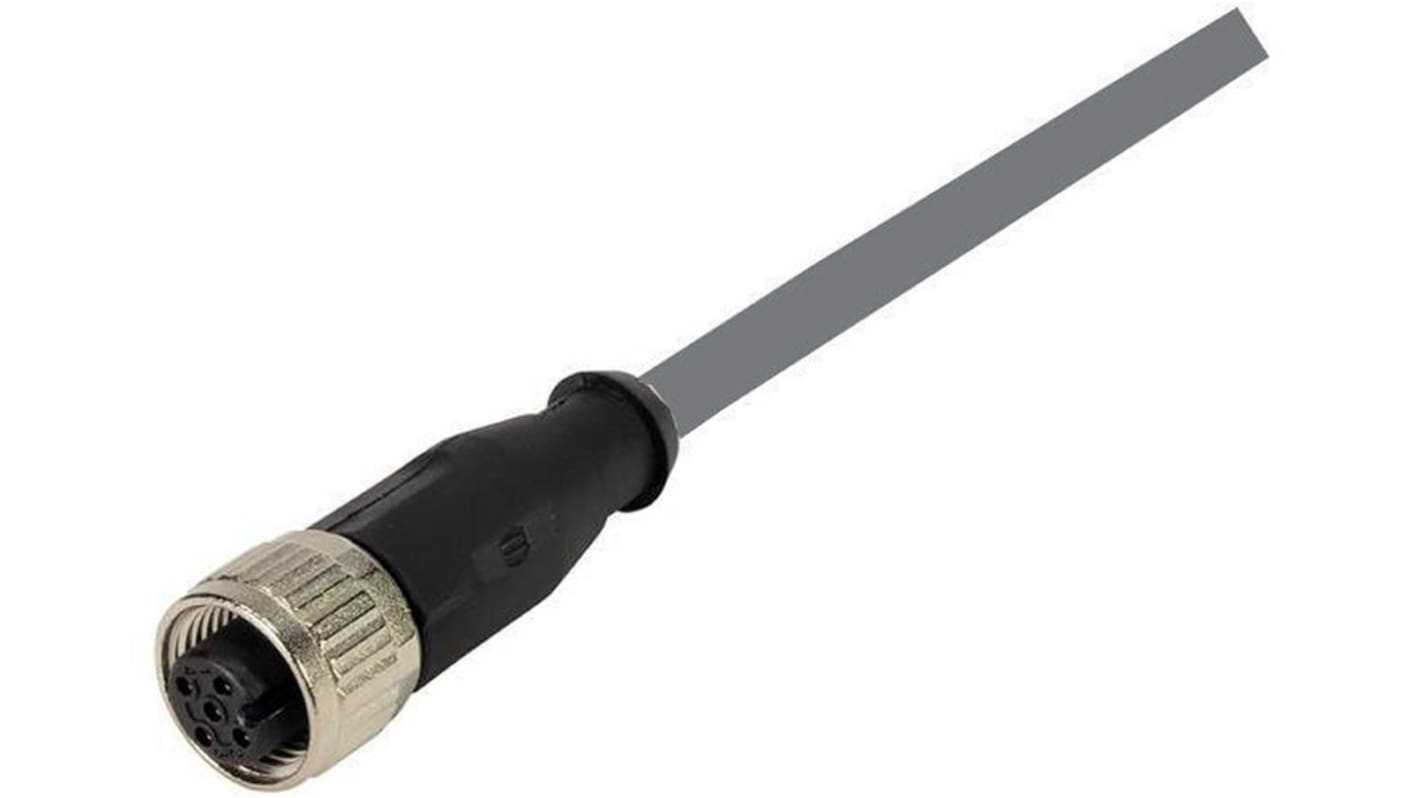 Cavo sensore/attuatore HARTING 12 cond. M12 Femmina / Senza terminazione, L. 5m