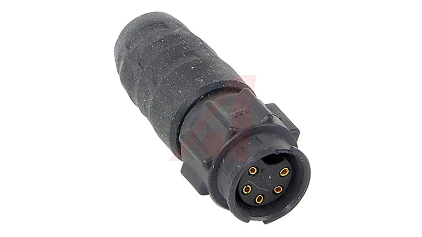 Connettore circolare Switchcraft, maschio, serie EN3, Standard, 5 poli, Montaggio su cavo