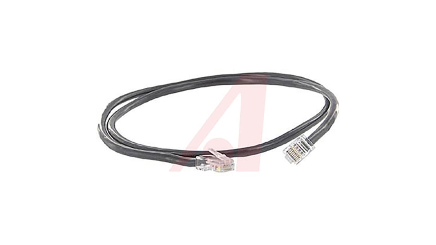 Cinch Connectors 73 Ethernetkabel Cat.5e, 910mm, Schwarz Patchkabel U/UTP
