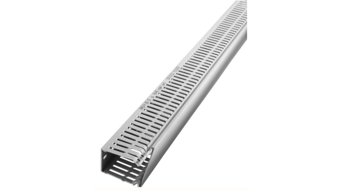 RS PRO Grey Slotted Panel Trunking - Open Slot, W60 mm x D40mm, L2m, PVC