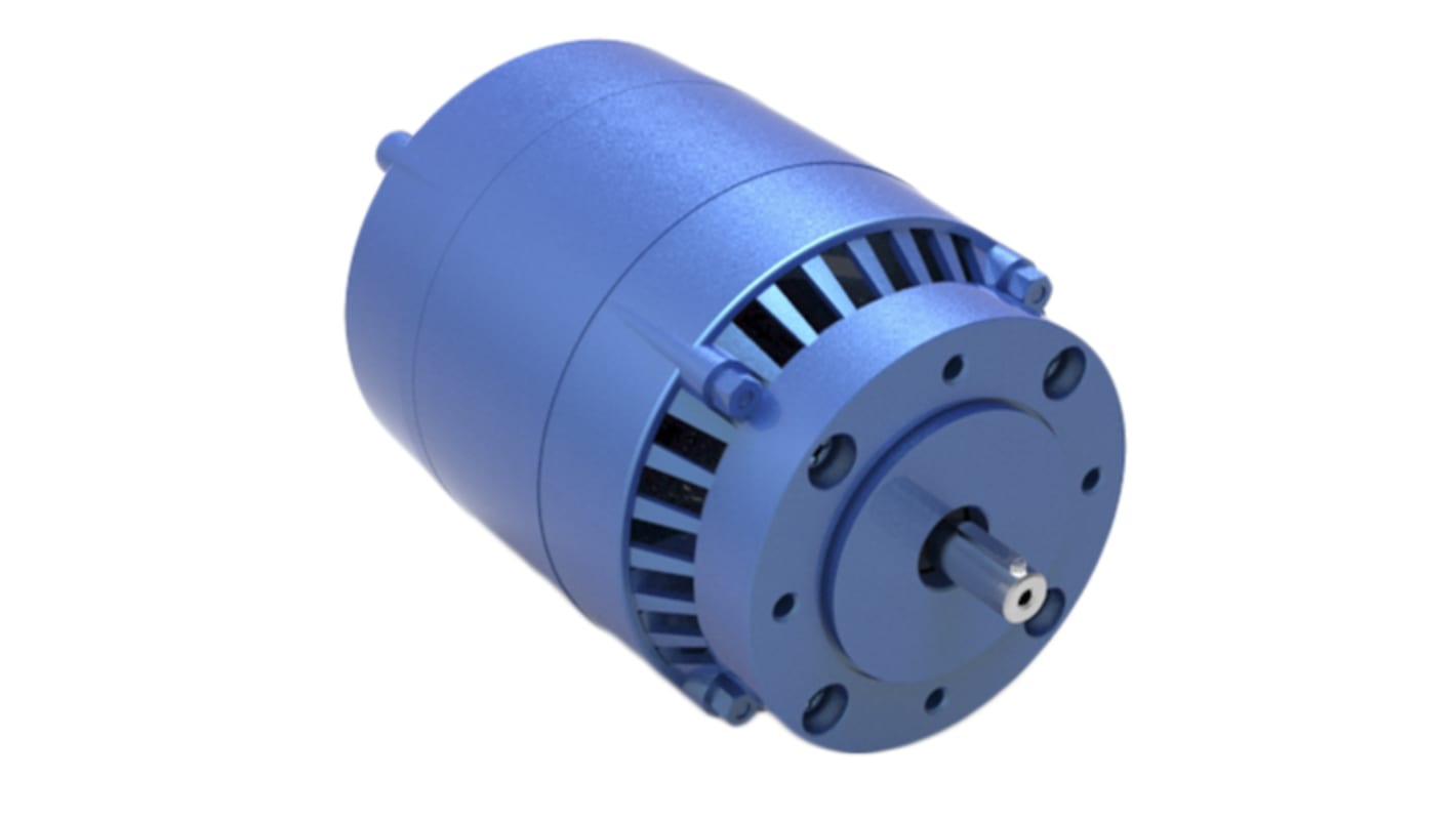 Parvalux SD48 Reversible Induction AC Motor, 125 W, 1 Phase, 4 Pole, 220 V, Flange Mount Mounting