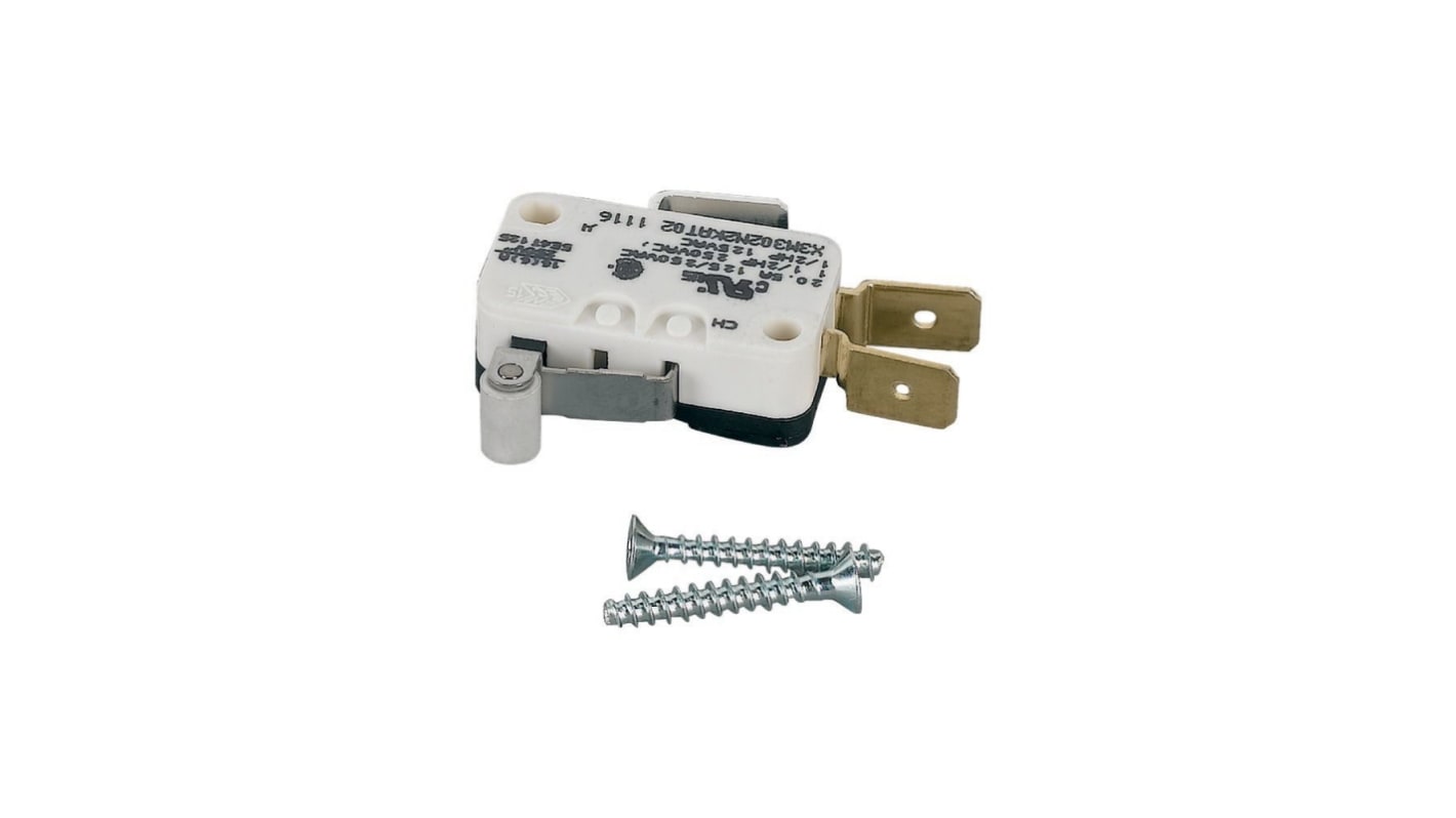 Microinterruptor