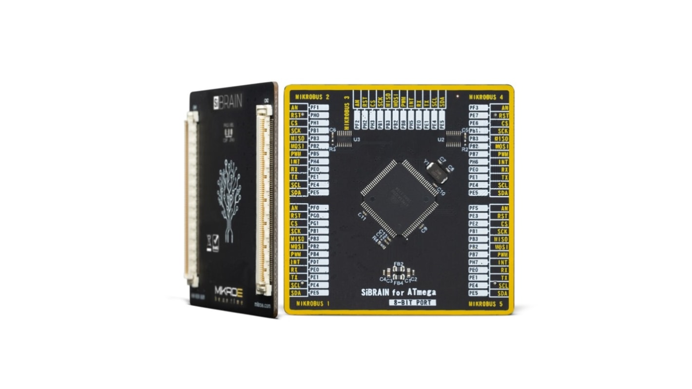 Brand-Rex SiBRAIN For ATmega3250 Microcontroller Development Board