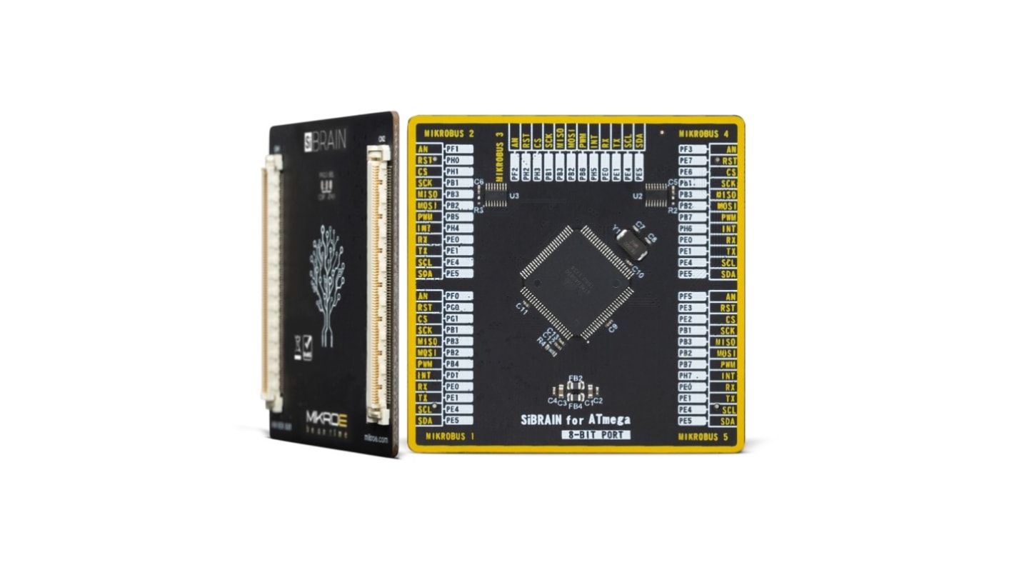 Brand-Rex SiBRAIN For ATmega6450 Microcontroller Development Board
