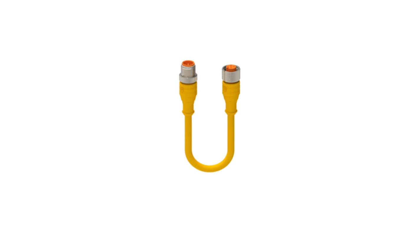 Kabel do siłownika/czujnika ze złączem Złącze M12 długość 2m Rodzaj A Żeńskie