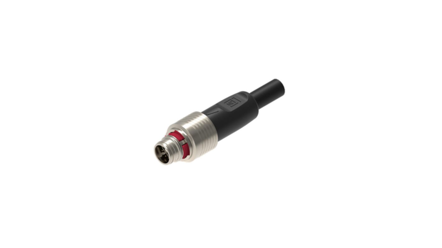 Lumberg Automation Male Cordset