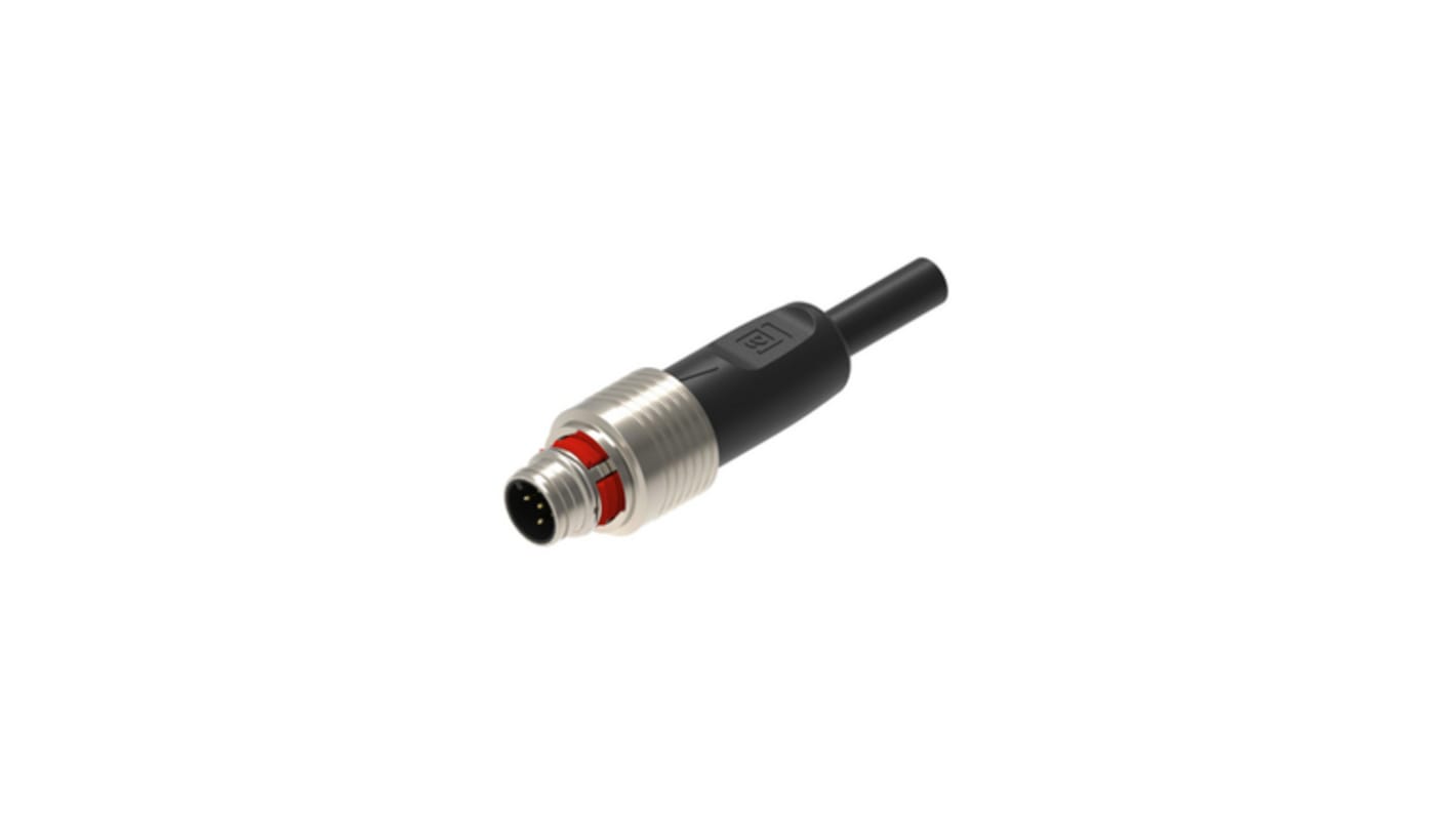 Lumberg Automation Male Cordset