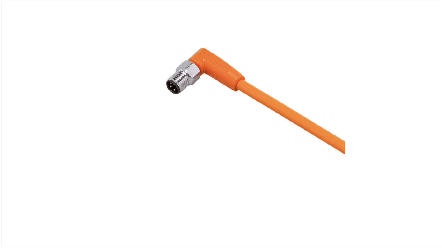 Cavo sensore/attuatore ifm electronic 4 cond. M8 Maschio / Senza terminazione, L. 2m