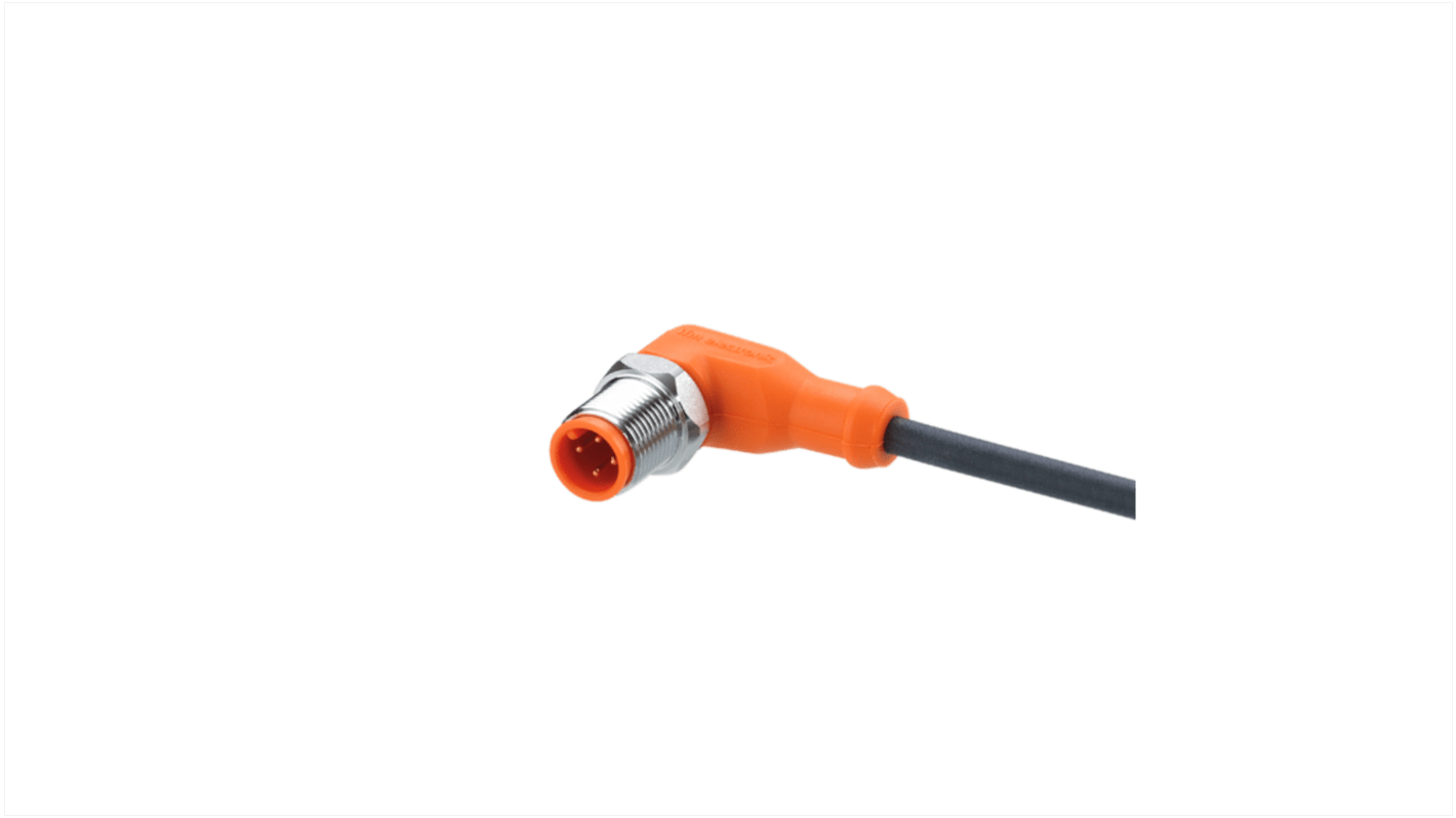 Cavo sensore/attuatore ifm electronic 4 cond. M12 Maschio / Senza terminazione, L. 2m
