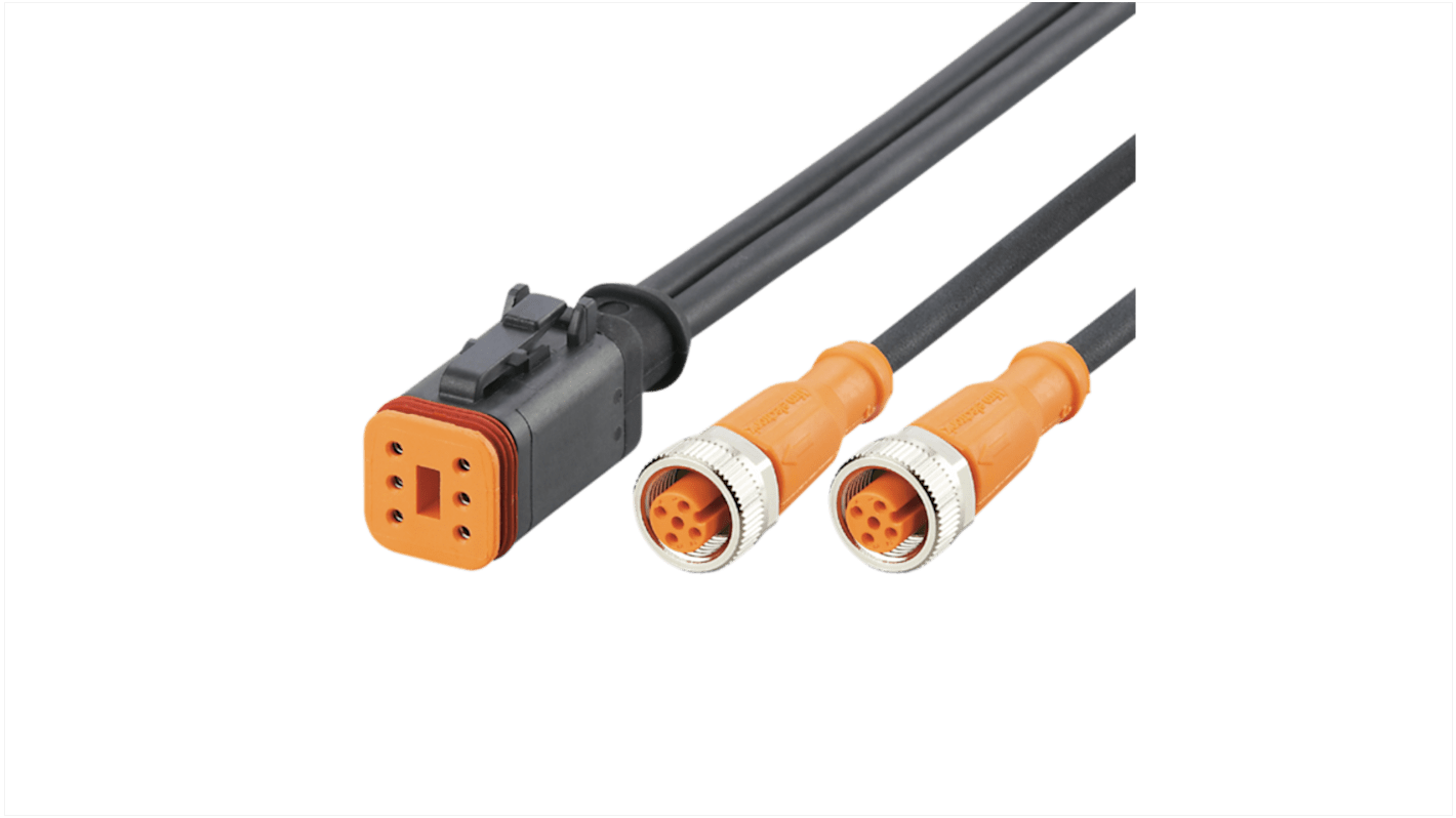 ifm electronic Straight Female 1 way Deutsch to Straight Female 10 way M12 Actuator/Sensor Cable, 5m