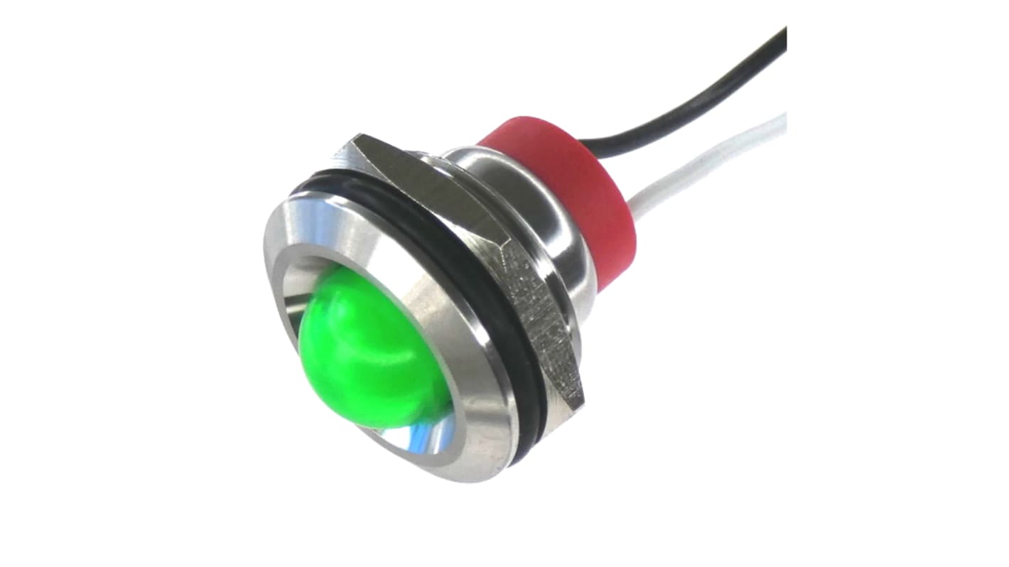 Panel LED 110V, zielona 19mm LED Wyprowadzenia CML Innovative Technologies