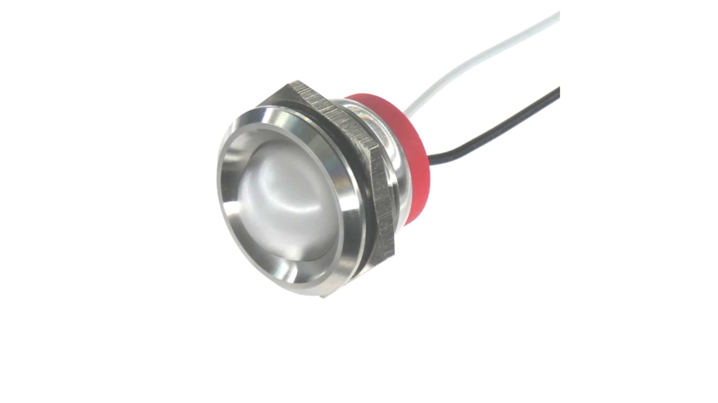 Panel LED 24V, biała 22mm LED Wyprowadzenia CML Innovative Technologies