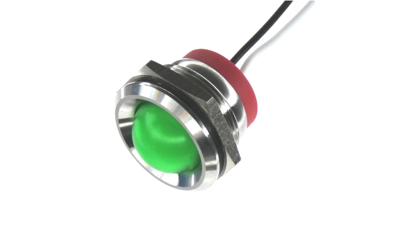 Panel LED 110V, zielona 22mm LED Wyprowadzenia CML Innovative Technologies