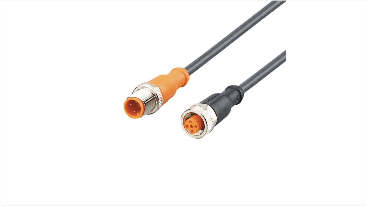 Kabel komunikacyjny ze złączem Złącze M12 liczba rdzeni 4 długość 300mm Rodzaj A Męskie Złącze B Złącze M12