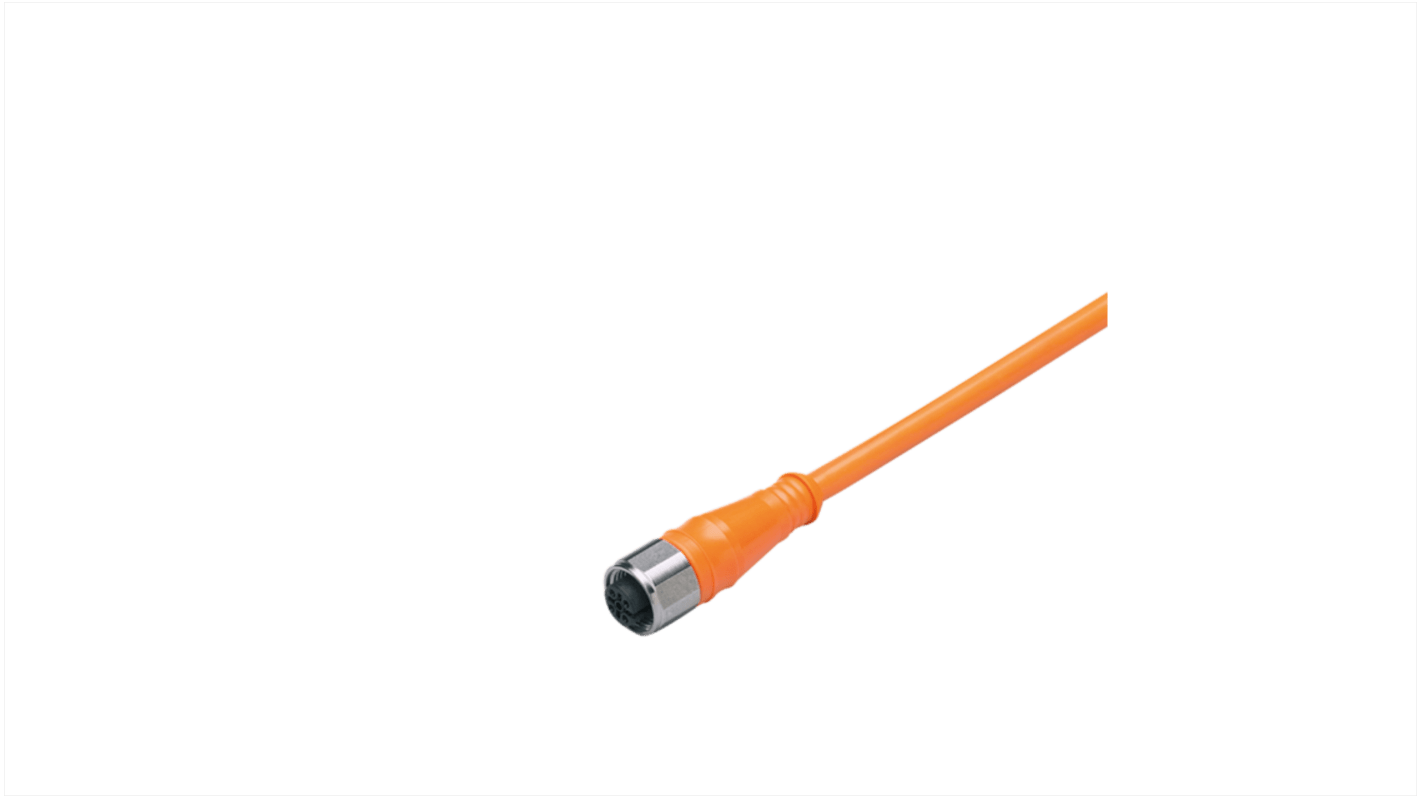 Kabel do siłownika/czujnika ze złączem Złącze M12 liczba rdzeni 8 długość 25m Rodzaj A Żeńskie