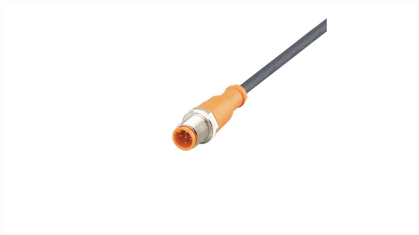 ifm electronic EVC Serien 5 leder M12 til Utermineret Aktuator/sensor kabel, 2m kabel