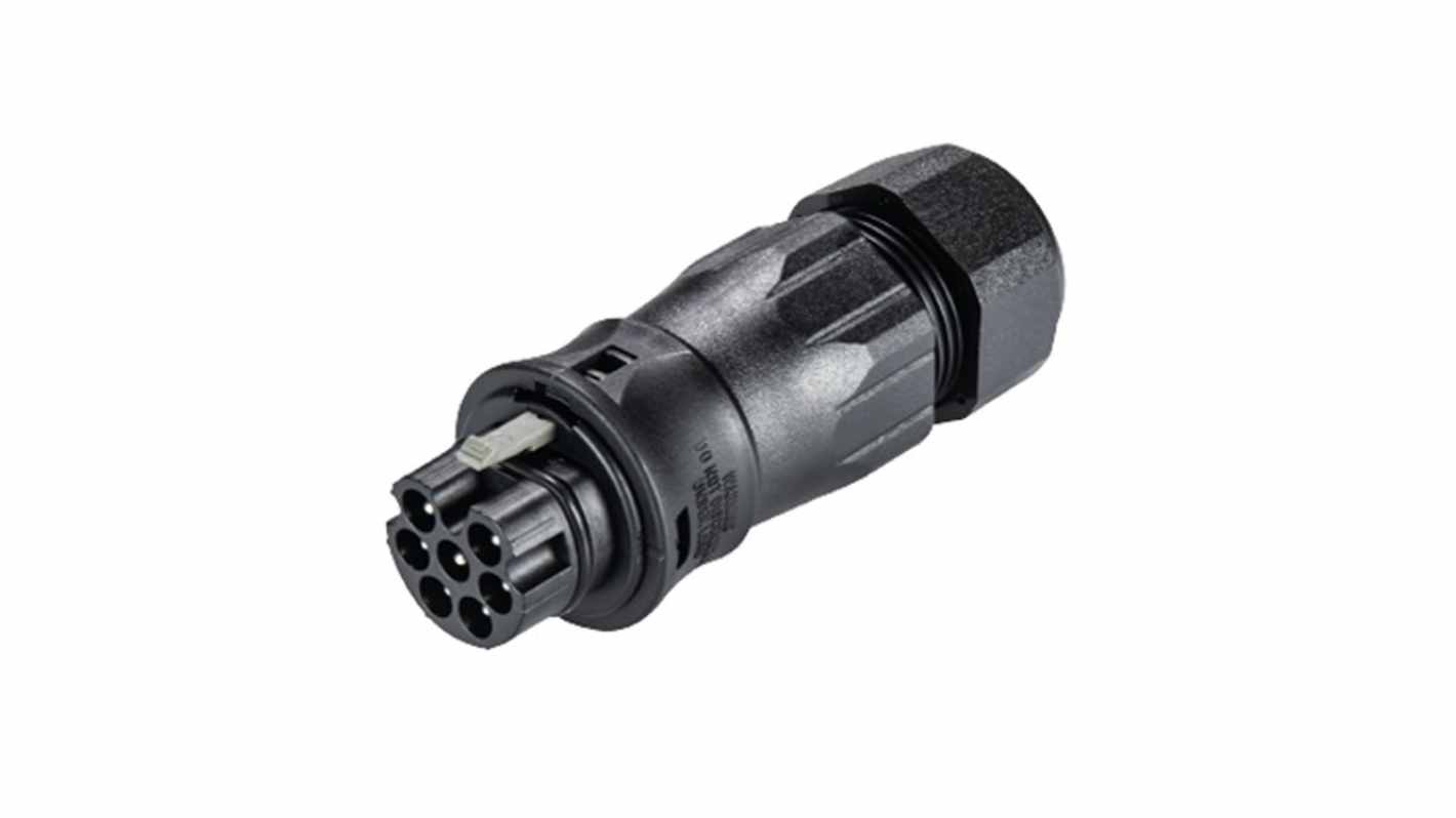 Wieland RST CLASSIC Series Connector, 7-Pole, Male, 7-Way, Push-In, 20A, IP66, IP68, IP69