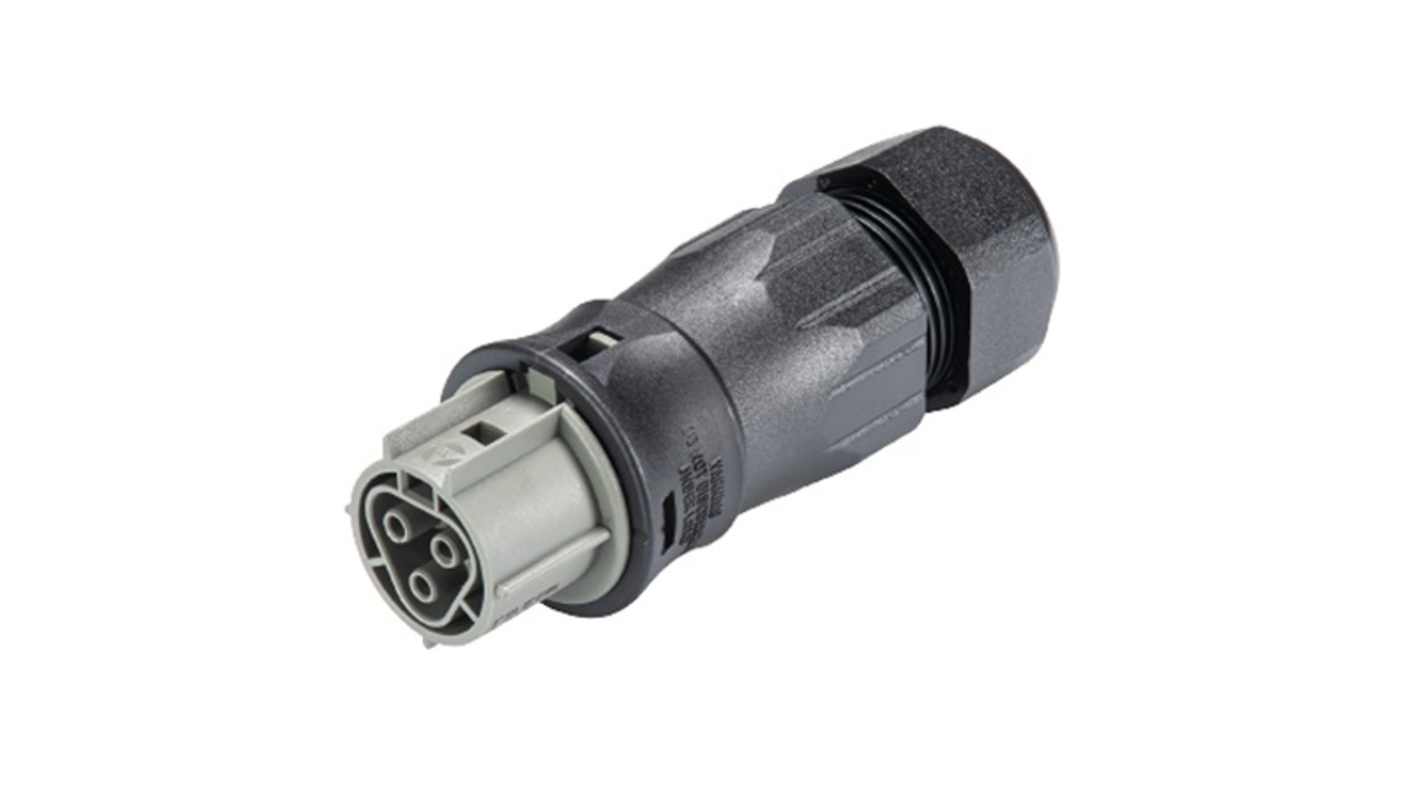Wieland RST CLASSIC Series Connector, 3-Pole, Female, 3-Way, Push-In, 25A, IP66, IP68