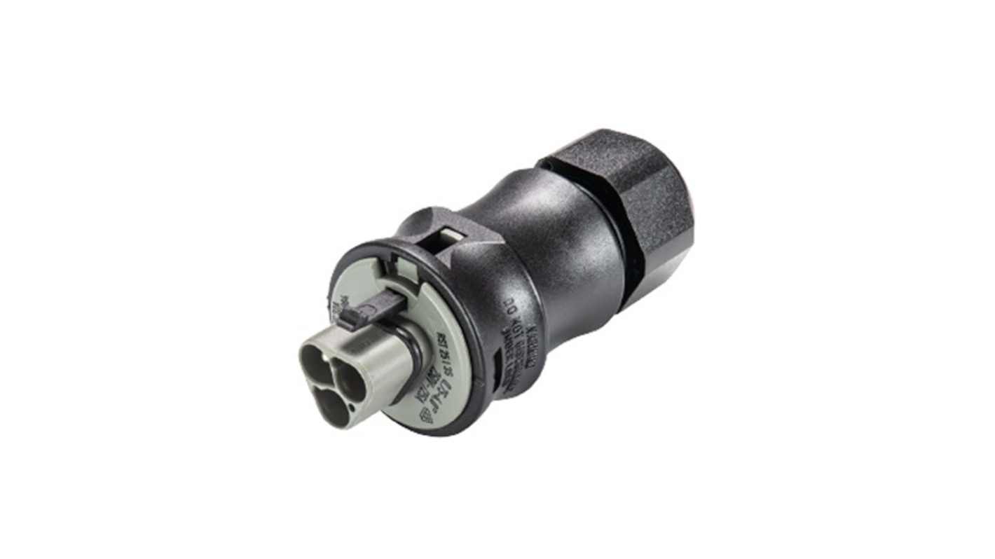 Wieland RST CLASSIC Series Connector, 3-Pole, Male, 3-Way, Push-In, 25A, IP66, IP68