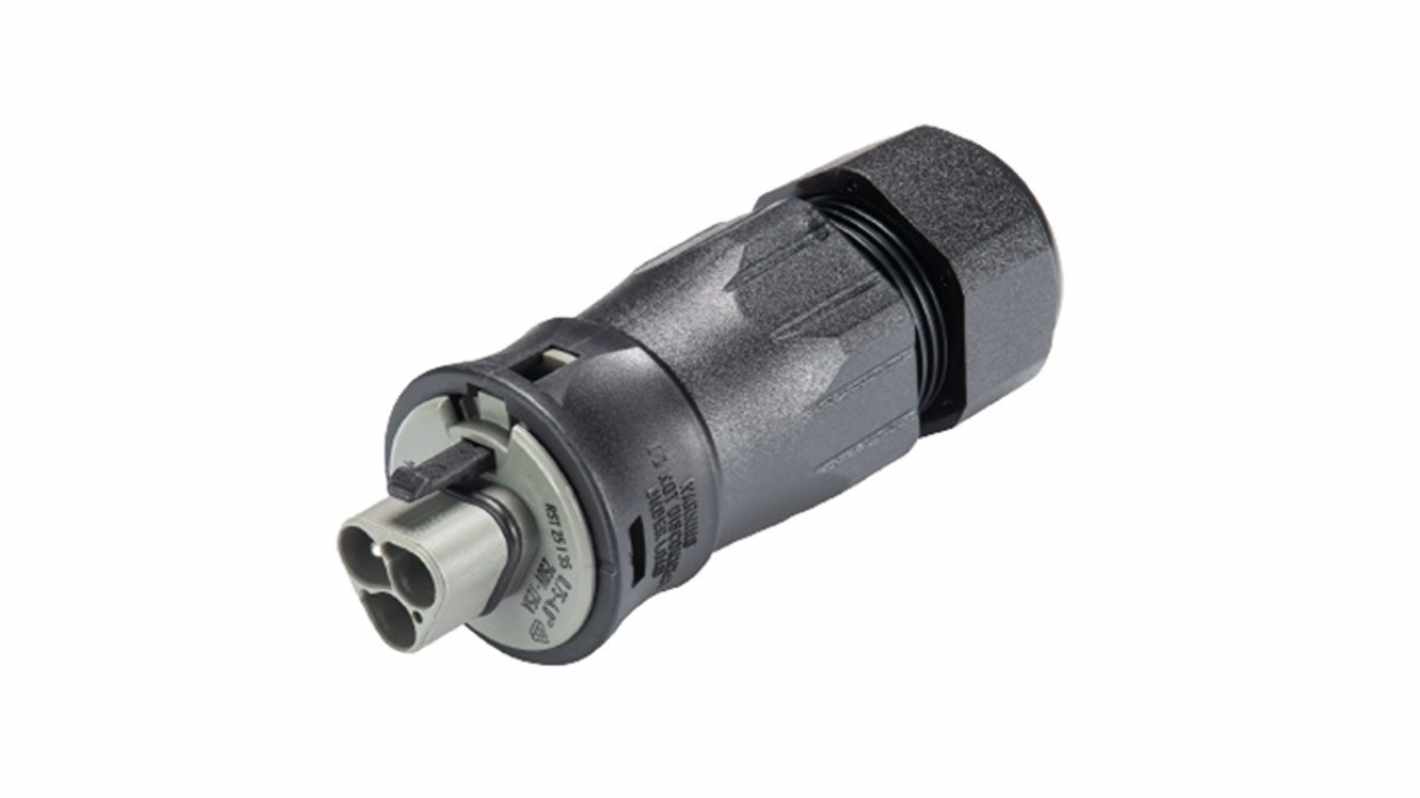 Wieland RST CLASSIC Series Connector, 3-Pole, Male, 3-Way, Push-In, 25A, IP66, IP68
