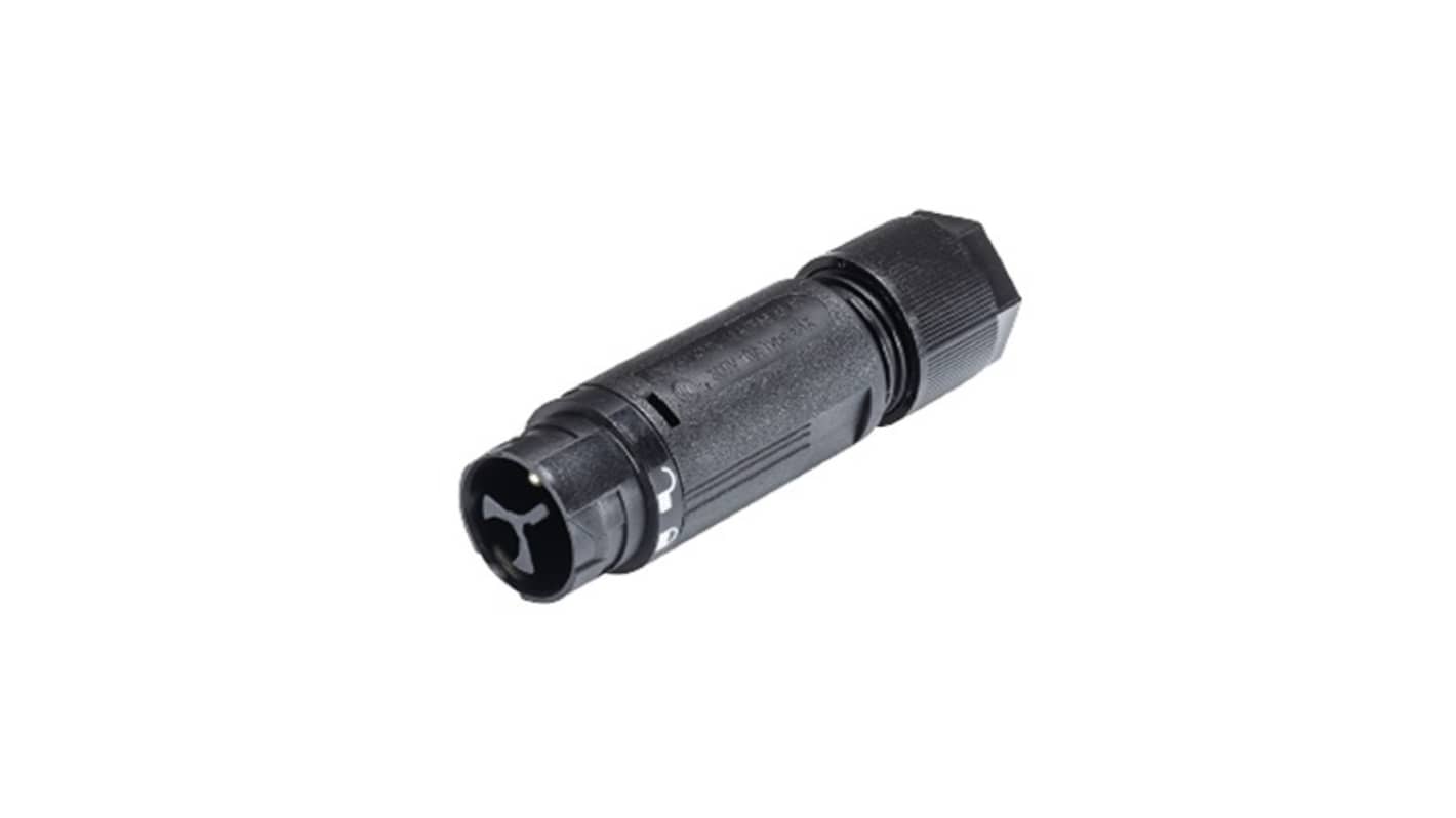 Wieland RST MINI Series Connector, 2-Pole, Male, 2-Way, Push-In, 16A, IP66, IP68, IP69