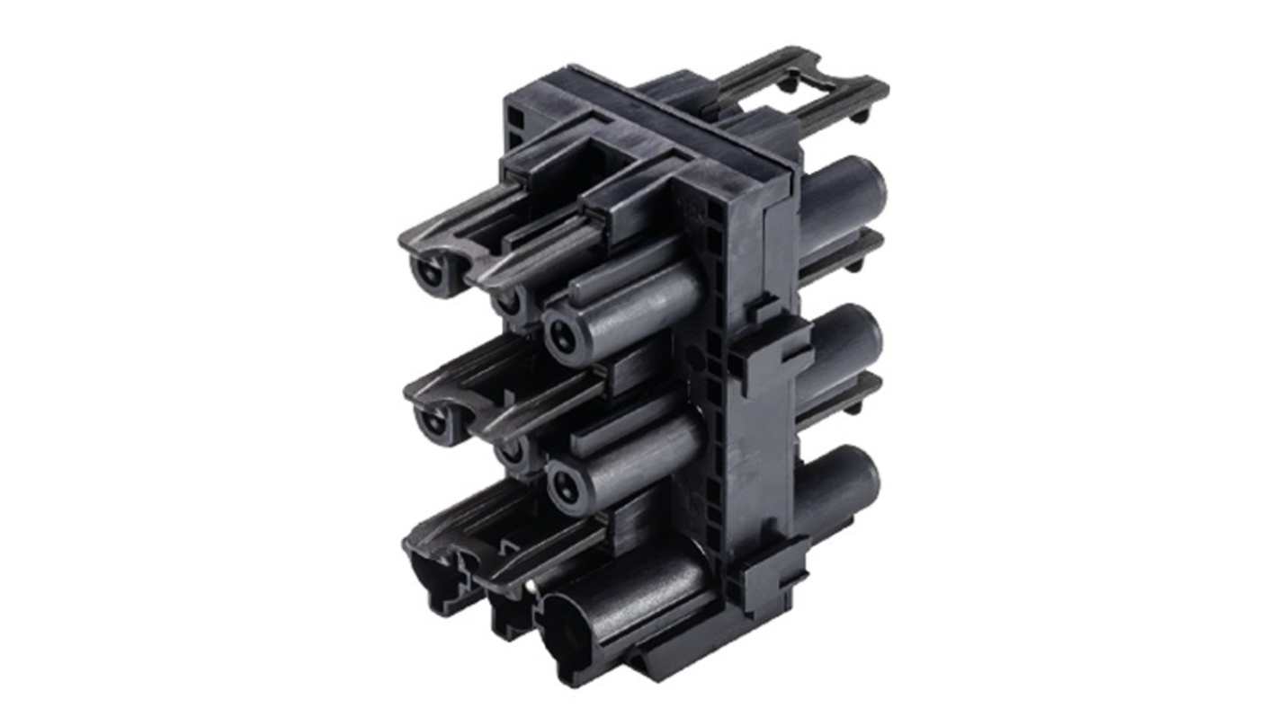 Wieland Gesis CLASSIC Series HH-Distributor, 3-Pole, 6-Way, Push-In, 20A, IP40