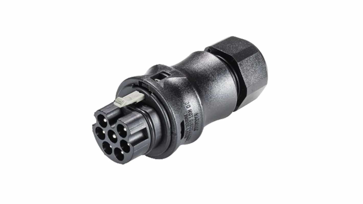 Wieland RST CLASSIC Series Connector, 7-Pole, Male, 7-Way, Push-In, 16A, IP66, IP68, IP69