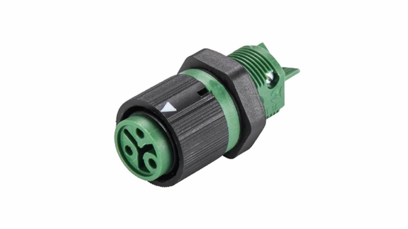 Wieland RST MINI Series Connector, 3-Pole, Female, 3-Way, Push-In, 16A, IP66, IP68, IP69