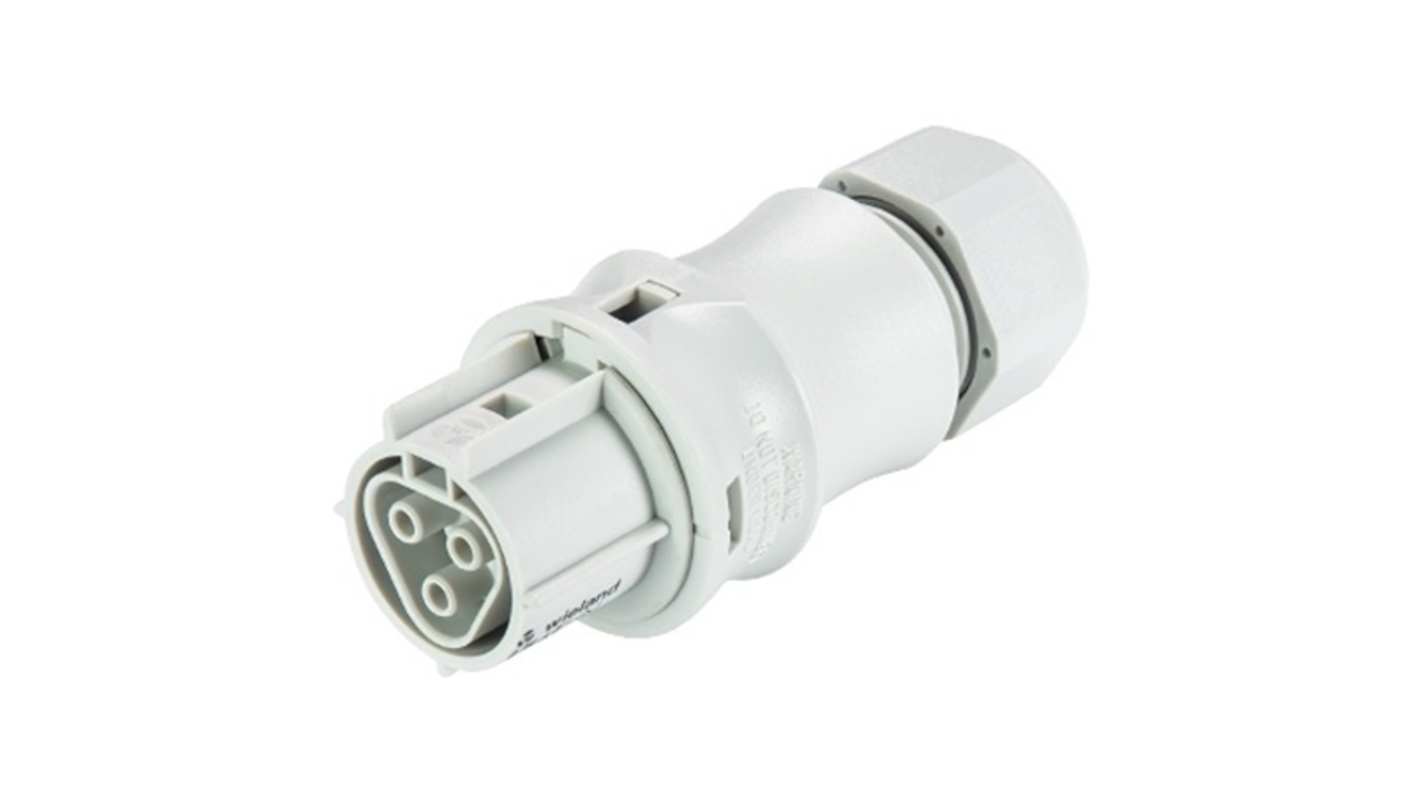 Wieland RST CLASSIC Series Connector, 3-Pole, Female, 3-Way, Push-In, 20A, IP66, IP68, IP69