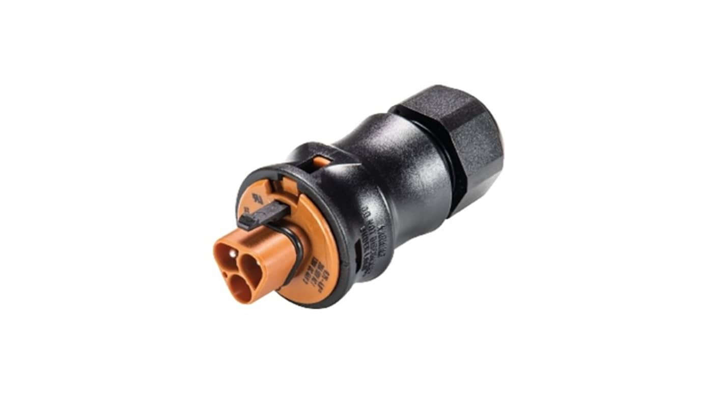 Wieland RST CLASSIC Series Connector, 3-Pole, Male, 3-Way, Push-In, 20A, IP66, IP68, IP69