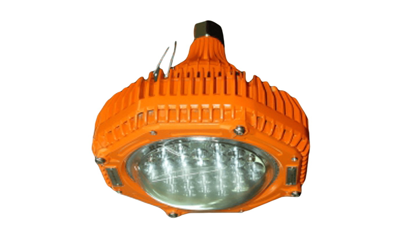 Nightsearcher Floodlight Hazardous Area Light, Hazardous Area Lights, Pendant, 24 V Pendant, ATEX