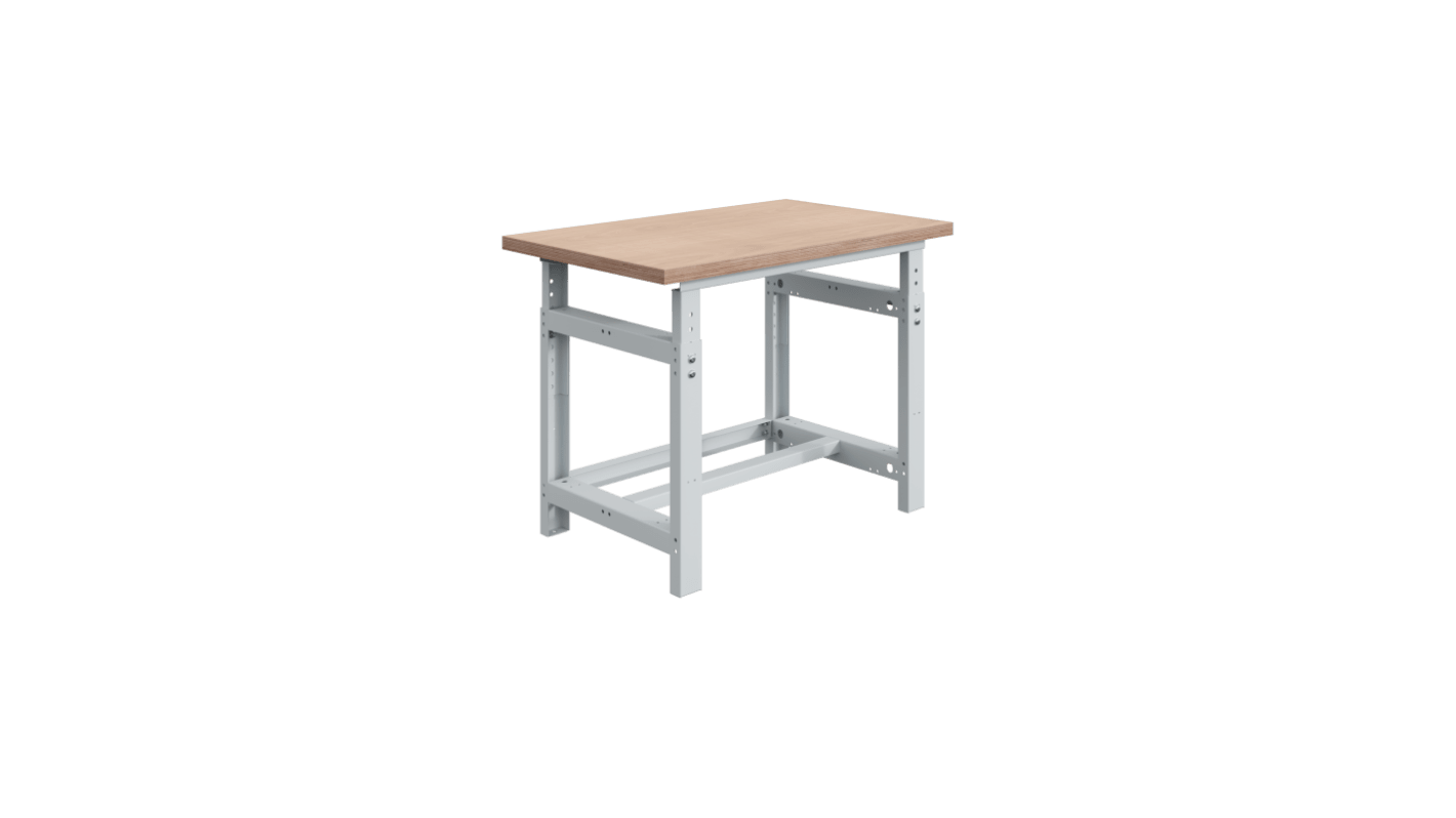 SOFAME W010010031GC Portable Plywood, Steel Workbench, 300kg Max Load, 40mm