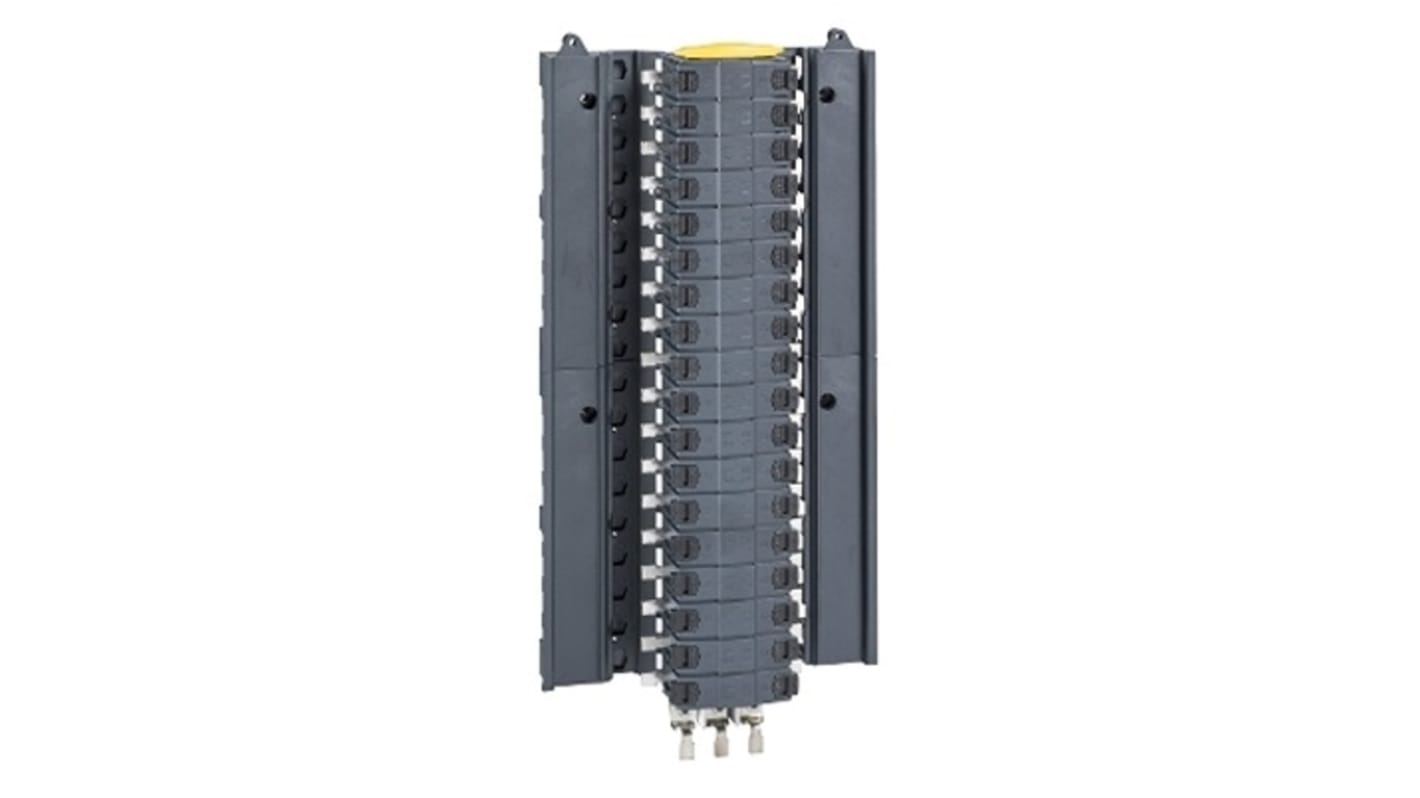 Scheda di distribuzione Schneider Electric, 12 vie, 63 A, Acti9