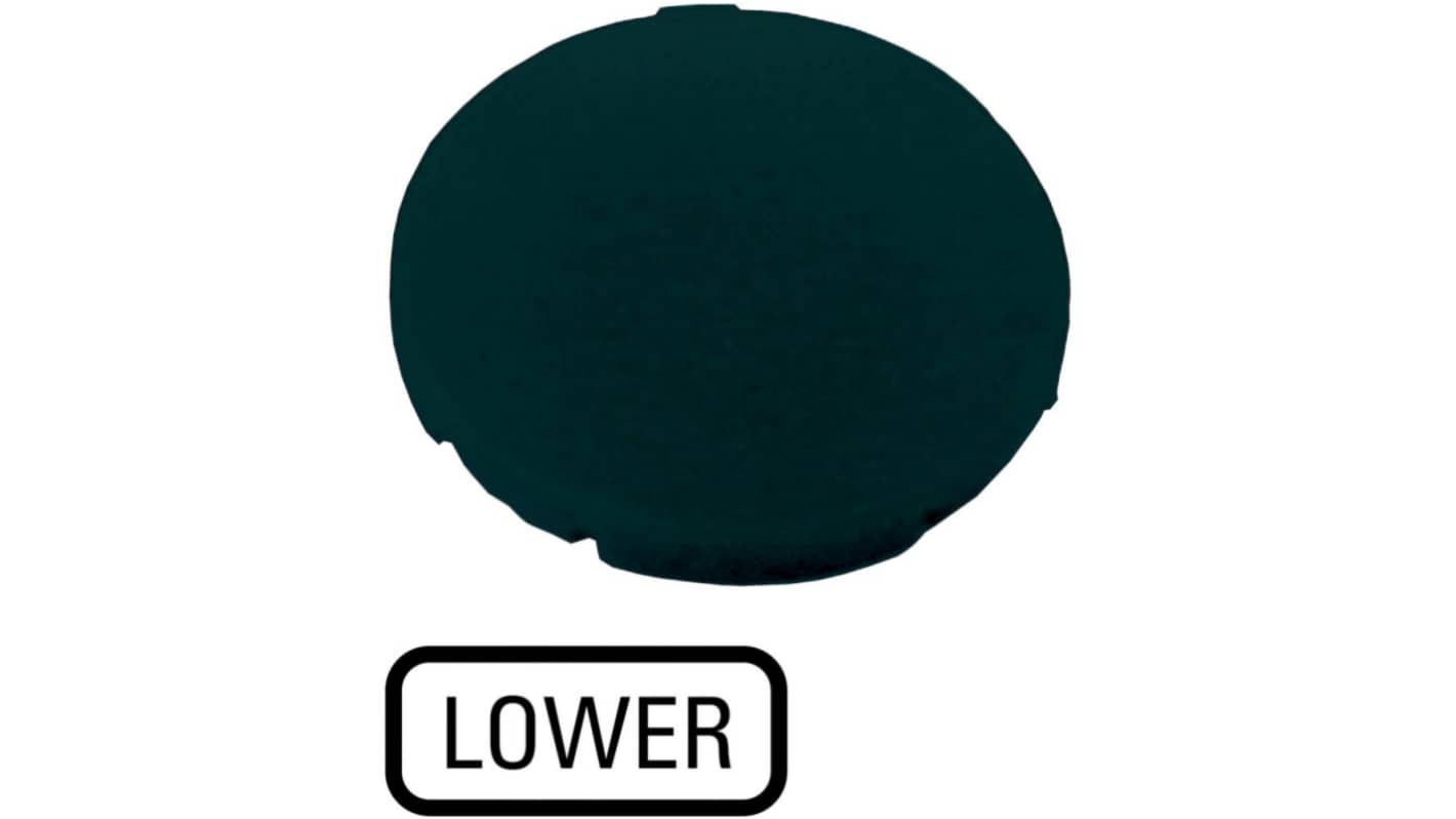 Plate for Use with Push Button
