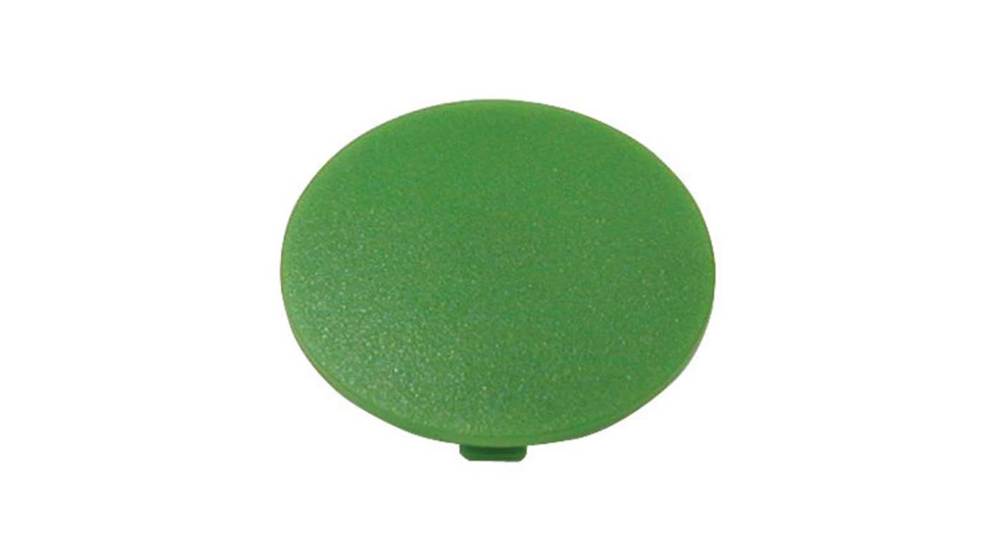 Button Plate, For Use With Mushroom Head Push Button