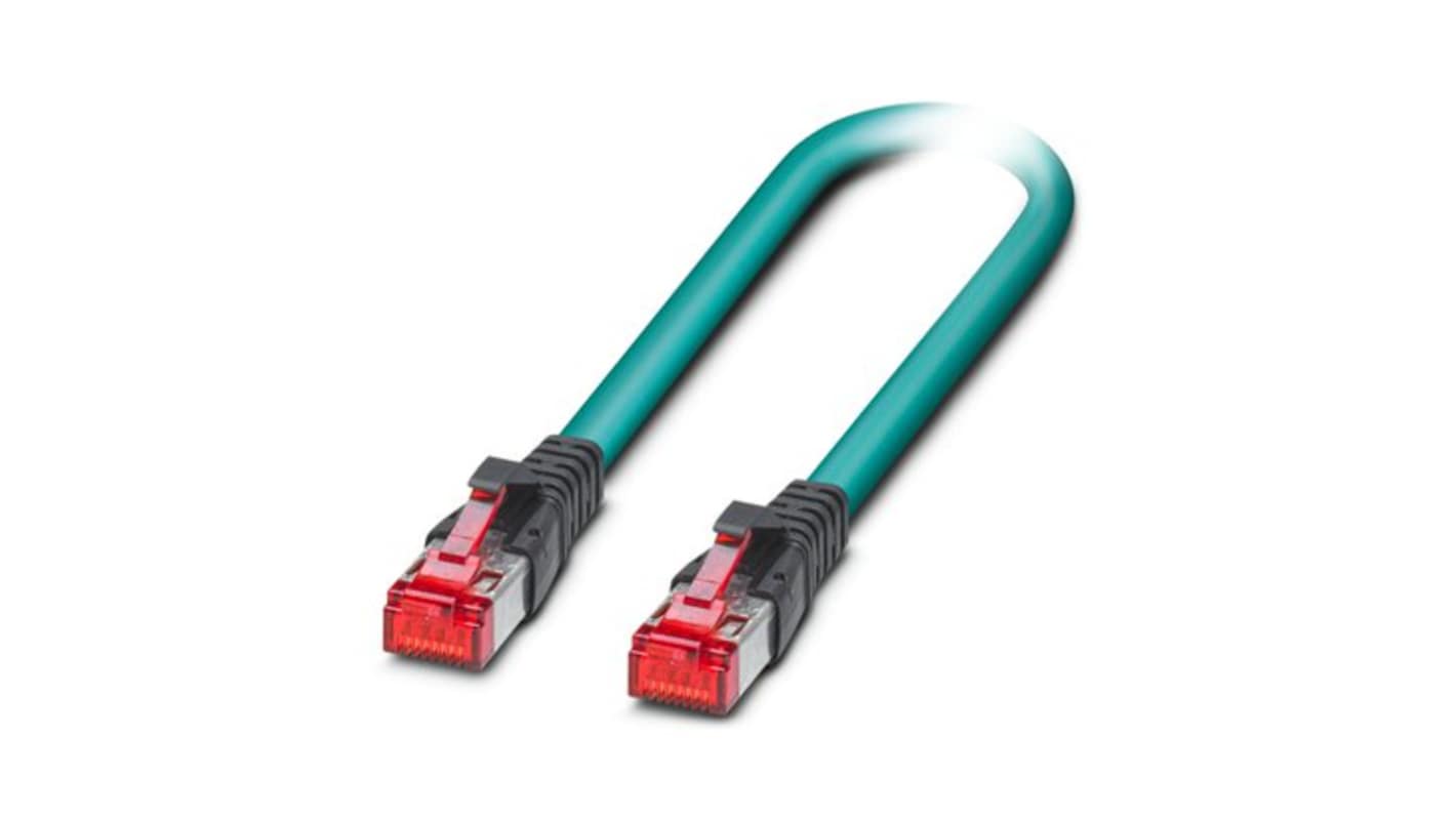 Phoenix ContactNBC, 500mm Cat6a, Blue RJ45 to Male RJ45 Male, S/FTP Shielded, Terminated Polyurethane Sheath